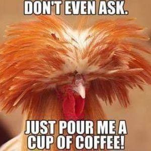 Meet your Posher, Robinadam